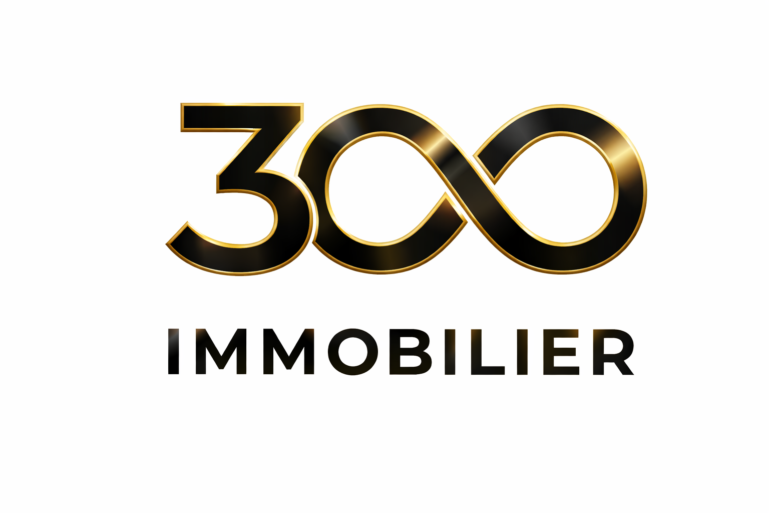 300 Immobilier